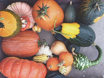 leyu乐鱼:2021中国国际食品和饮料展览会SIAL China